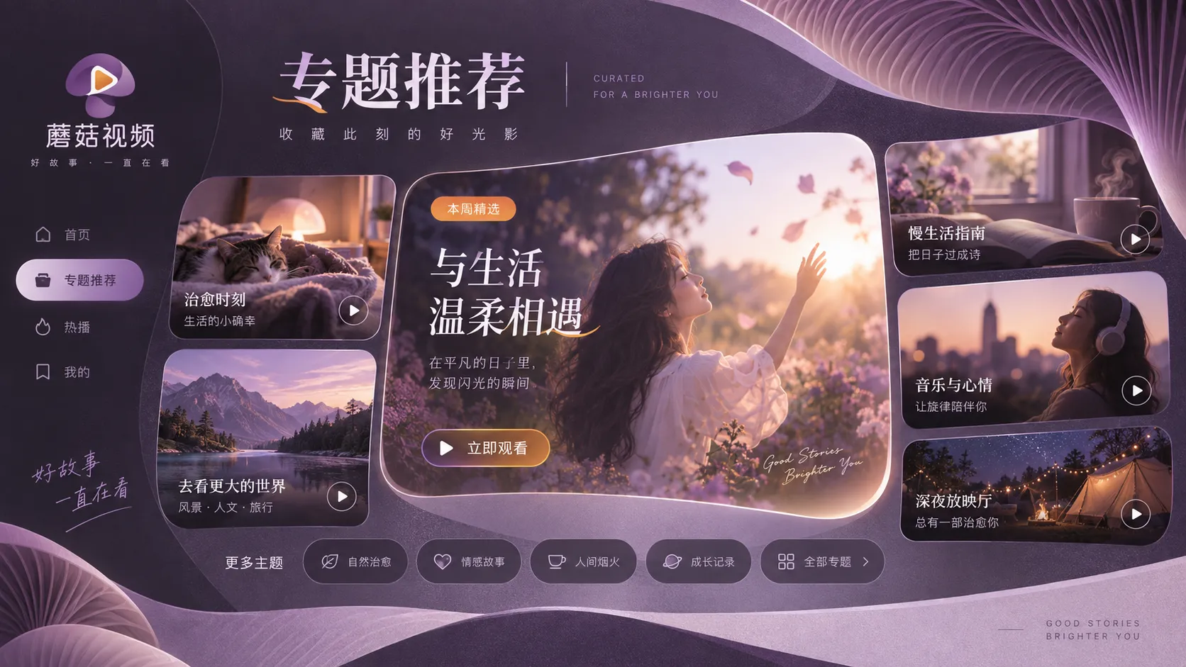 综艺节目结构专题